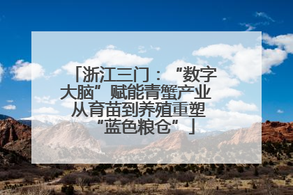 浙江三门：“数字大脑”赋能青蟹产业 从育苗到养殖重塑“蓝色粮仓”