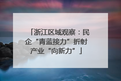 浙江区域观察：民企“青蓝接力”折射产业“向新力”