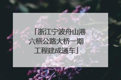 浙江宁波舟山港六横公路大桥一期工程建成通车