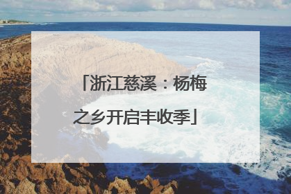 浙江慈溪：杨梅之乡开启丰收季