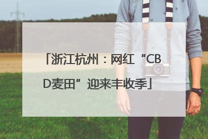 浙江杭州：网红“CBD麦田”迎来丰收季