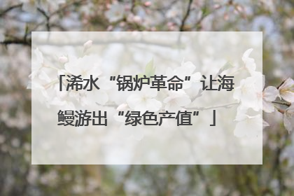 浠水“锅炉革命”让海鳗游出“绿色产值”