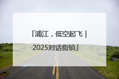 浦江，低空起飞｜2025对话街镇