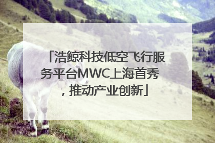 浩鲸科技低空飞行服务平台MWC上海首秀，推动产业创新
