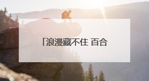 浪漫藏不住 百合花海绽放黄河之滨