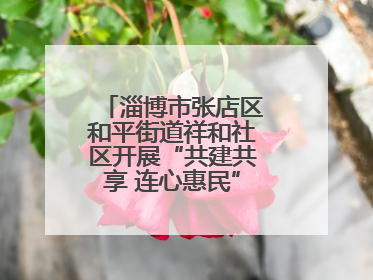 淄博市张店区和平街道祥和社区开展“共建共享 连心惠民”便民志愿活动