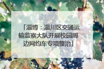 淄博：淄川区交通运输监察大队开展校园周边网约车专项整治