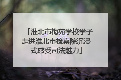 淮北市梅苑学校学子走进淮北市检察院沉浸式感受司法魅力