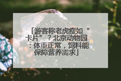 游客称老虎瘦如“卡片”？北京动物园：体重正常，饲料能保障营养需求