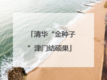 清华“金种子”津门结硕果