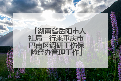 湖南省岳阳市人社局一行来重庆市巴南区调研工伤保险经办管理工作