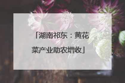 湖南祁东：黄花菜产业助农增收