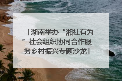 湖南举办“湘社有为”社会组织协同合作服务乡村振兴专题沙龙