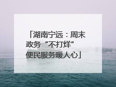 湖南宁远：周末政务“不打烊” 便民服务暖人心
