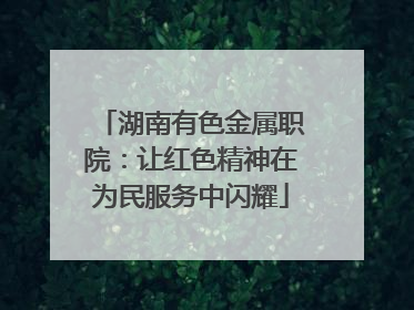 湖南有色金属职院：让红色精神在为民服务中闪耀