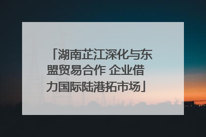 湖南芷江深化与东盟贸易合作 企业借力国际陆港拓市场