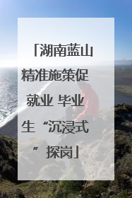 湖南蓝山精准施策促就业 毕业生“沉浸式”探岗
