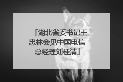 湖北省委书记王忠林会见中国电信总经理刘桂清