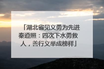 湖北省见义勇为先进秦遵照：四次下水勇救人，善行义举成榜样