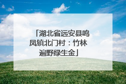 湖北省远安县鸣凤镇北门村：竹林遍野绿生金