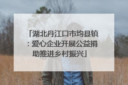 湖北丹江口市均县镇：爱心企业开展公益捐助推进乡村振兴