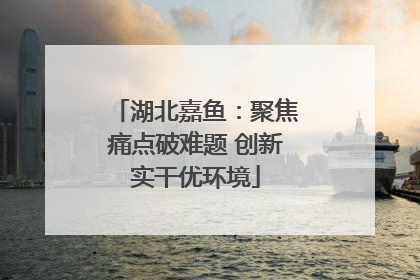 湖北嘉鱼：聚焦痛点破难题 创新实干优环境