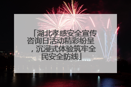 湖北孝感安全宣传咨询日活动精彩纷呈，沉浸式体验筑牢全民安全防线