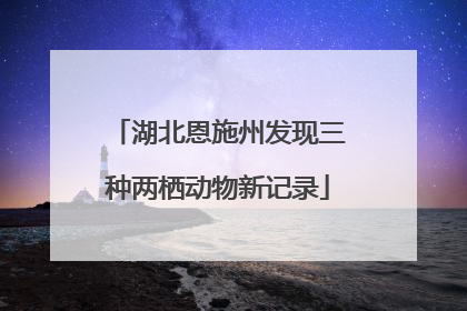 湖北恩施州发现三种两栖动物新记录