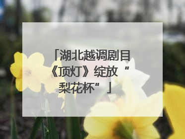 湖北越调剧目《顶灯》绽放“梨花杯”