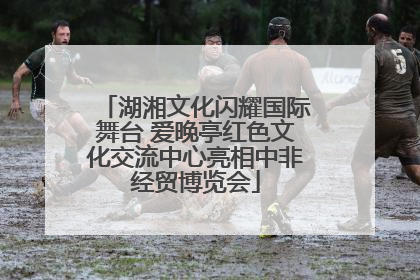 湖湘文化闪耀国际舞台 爱晚亭红色文化交流中心亮相中非经贸博览会