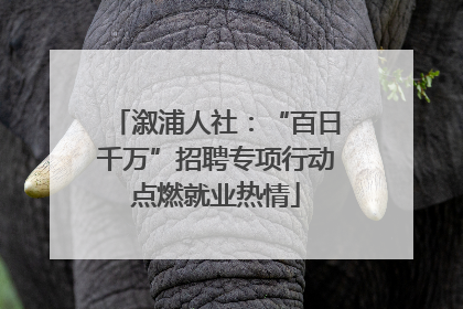 溆浦人社：“百日千万”招聘专项行动点燃就业热情