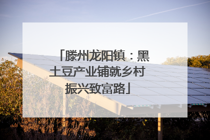 滕州龙阳镇：黑土豆产业铺就乡村振兴致富路