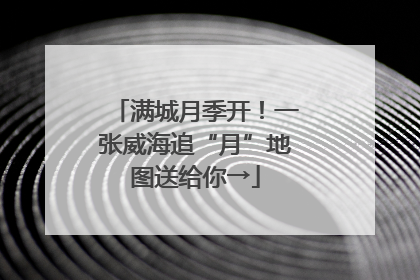 满城月季开！一张威海追“月”地图送给你→