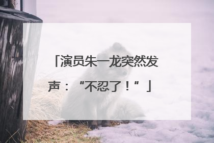 演员朱一龙突然发声：“不忍了！”