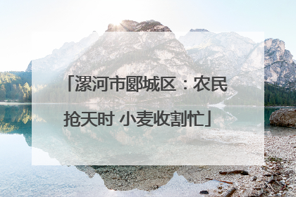 漯河市郾城区：农民抢天时 小麦收割忙