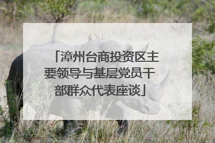 漳州台商投资区主要领导与基层党员干部群众代表座谈