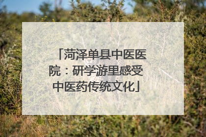 菏泽单县中医医院：研学游里感受中医药传统文化