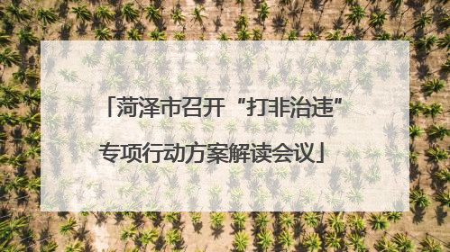 菏泽市召开“打非治违”专项行动方案解读会议