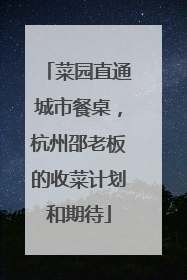 菜园直通城市餐桌，杭州邵老板的收菜计划和期待