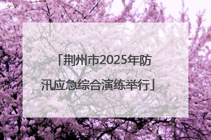 荆州市2025年防汛应急综合演练举行