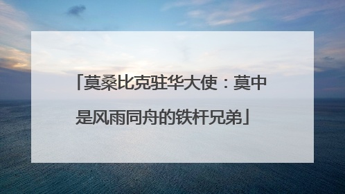 莫桑比克驻华大使：莫中是风雨同舟的铁杆兄弟