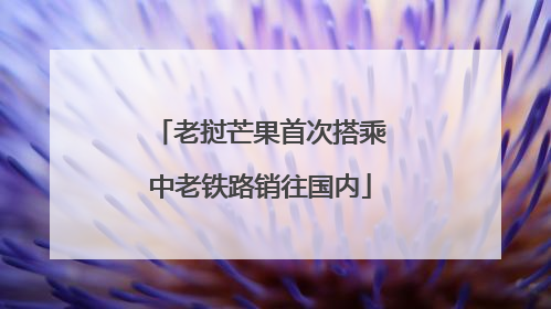 老挝芒果首次搭乘中老铁路销往国内