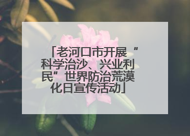 老河口市开展“科学治沙、兴业利民”世界防治荒漠化日宣传活动