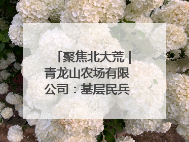 聚焦北大荒｜青龙山农场有限公司：基层民兵参与农业环境综合治理显效