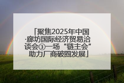 聚焦2025年中国·廊坊国际经济贸易洽谈会③一场“链主会” 助力厂商破圈发展