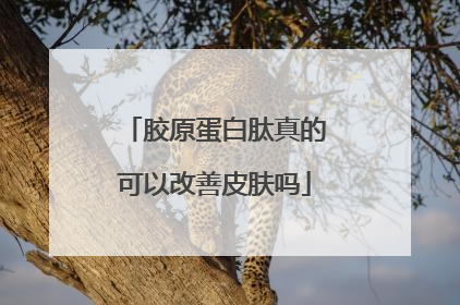 胶原蛋白肽真的可以改善皮肤吗