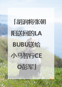 胡润将张朝阳送回的LABUBU送给小马智行CEO彭军