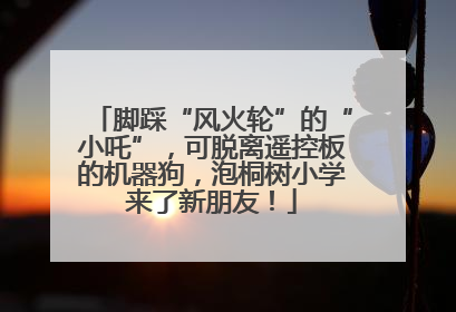 脚踩“风火轮”的“小吒”，可脱离遥控板的机器狗，泡桐树小学来了新朋友！