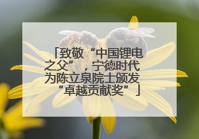 致敬“中国锂电之父”，宁德时代为陈立泉院士颁发“卓越贡献奖”