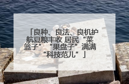 良种、良法、良机护航夏粮丰收 居民“菜篮子”“果盘子”满满“科技范儿”